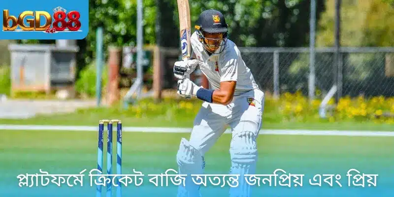 প্ল্যাটফর্মে ক্রিকেট বাজি অত্যন্ত জনপ্রিয় এবং প্রিয়