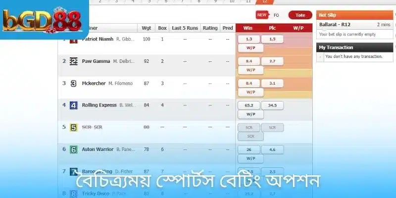 বৈচিত্র্যময় স্পোর্টস বেটিং অপশন