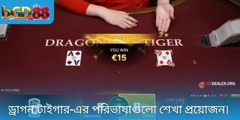 ড্রাগন টাইগার-এর পরিভাষাগুলো শেখা প্রয়োজন।