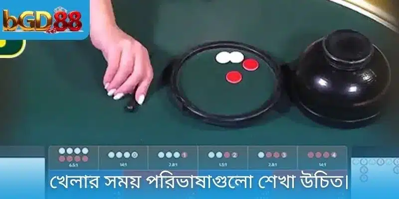 খেলার সময় পরিভাষাগুলো শেখা উচিত।