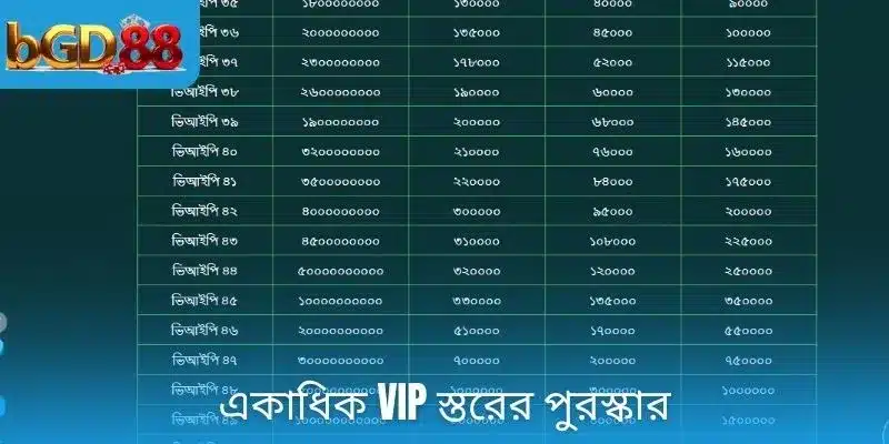 একাধিক VIP স্তরের পুরস্কার