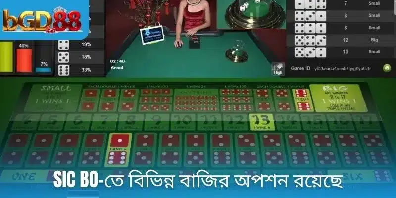 Sic bo-তে বিভিন্ন বাজির অপশন রয়েছে