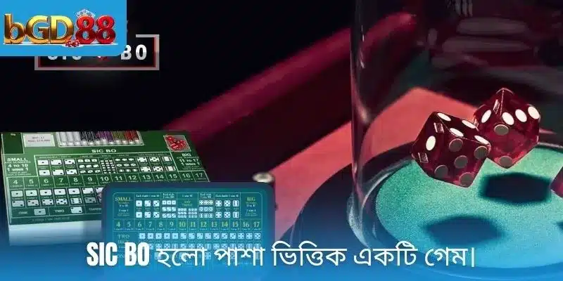 Sic bo হলো পাশা ভিত্তিক একটি গেম।